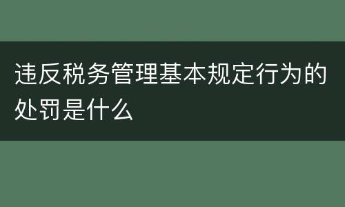 违反税务管理基本规定行为的处罚是什么