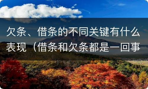 欠条、借条的不同关键有什么表现（借条和欠条都是一回事）