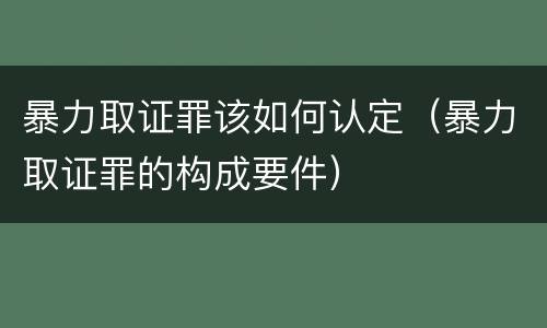 暴力取证罪该如何认定（暴力取证罪的构成要件）
