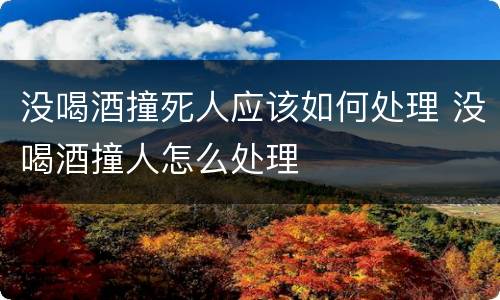 没喝酒撞死人应该如何处理 没喝酒撞人怎么处理