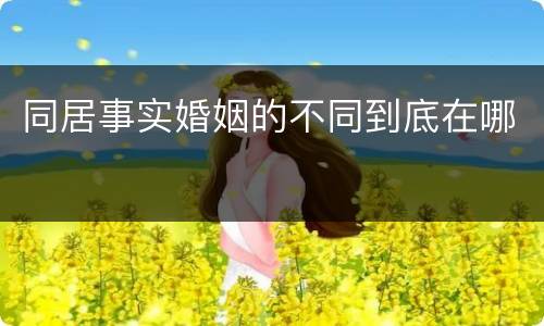同居事实婚姻的不同到底在哪