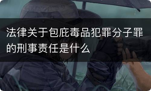 法律关于包庇毒品犯罪分子罪的刑事责任是什么