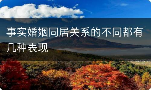 事实婚姻同居关系的不同都有几种表现