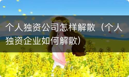 个人独资公司怎样解散（个人独资企业如何解散）