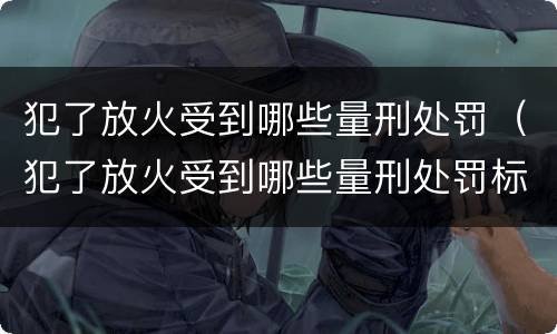 犯了放火受到哪些量刑处罚（犯了放火受到哪些量刑处罚标准）