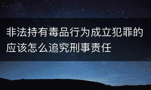 非法持有毒品行为成立犯罪的应该怎么追究刑事责任
