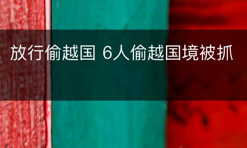 放行偷越国 6人偷越国境被抓