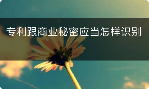 专利跟商业秘密应当怎样识别