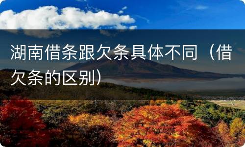 湖南借条跟欠条具体不同（借欠条的区别）