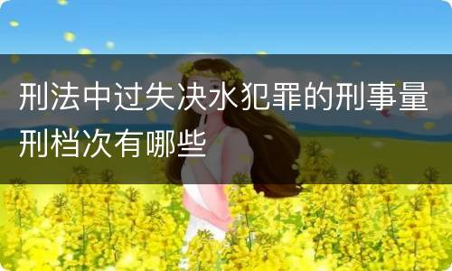 刑法中过失决水犯罪的刑事量刑档次有哪些