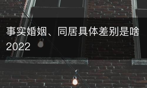 事实婚姻、同居具体差别是啥2022