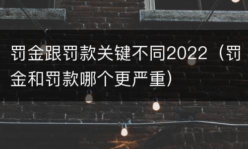 罚金跟罚款关键不同2022（罚金和罚款哪个更严重）
