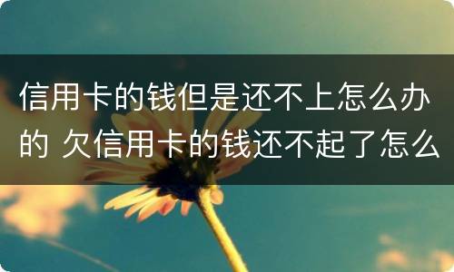 信用卡的钱但是还不上怎么办的 欠信用卡的钱还不起了怎么办