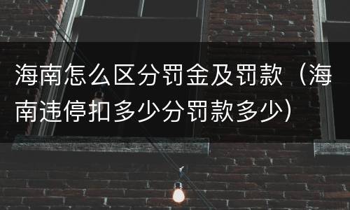 海南怎么区分罚金及罚款（海南违停扣多少分罚款多少）