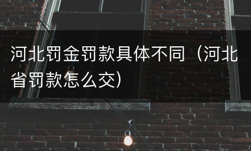 河北罚金罚款具体不同（河北省罚款怎么交）