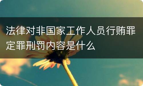 法律对非国家工作人员行贿罪定罪刑罚内容是什么