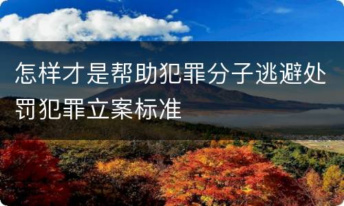 怎样才是帮助犯罪分子逃避处罚犯罪立案标准