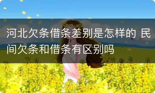 河北欠条借条差别是怎样的 民间欠条和借条有区别吗