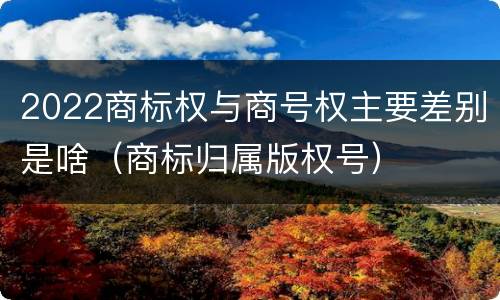 2022商标权与商号权主要差别是啥（商标归属版权号）