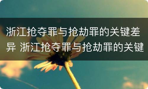 浙江抢夺罪与抢劫罪的关键差异 浙江抢夺罪与抢劫罪的关键差异是什么