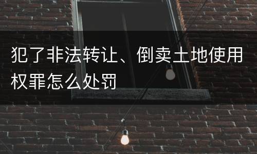 犯了非法转让、倒卖土地使用权罪怎么处罚
