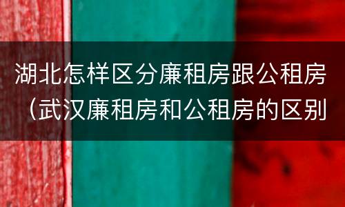 湖北怎样区分廉租房跟公租房（武汉廉租房和公租房的区别）