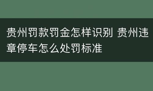贵州罚款罚金怎样识别 贵州违章停车怎么处罚标准