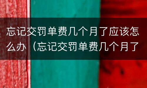 忘记交罚单费几个月了应该怎么办（忘记交罚单费几个月了应该怎么办呢）