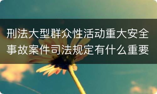 刑法大型群众性活动重大安全事故案件司法规定有什么重要内容