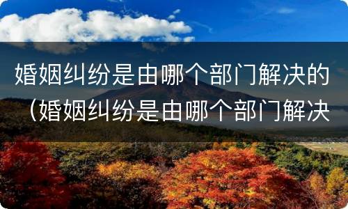 婚姻纠纷是由哪个部门解决的（婚姻纠纷是由哪个部门解决的案例）