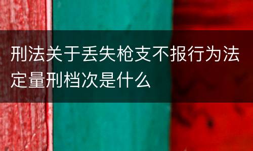 刑法关于丢失枪支不报行为法定量刑档次是什么