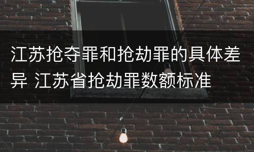 江苏抢夺罪和抢劫罪的具体差异 江苏省抢劫罪数额标准