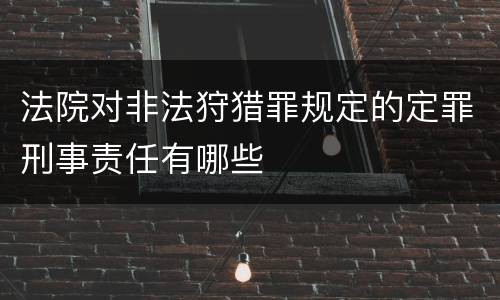法院对非法狩猎罪规定的定罪刑事责任有哪些