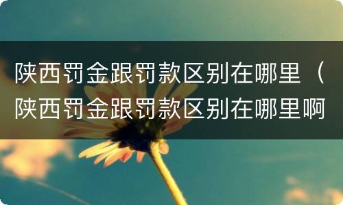 陕西罚金跟罚款区别在哪里（陕西罚金跟罚款区别在哪里啊）