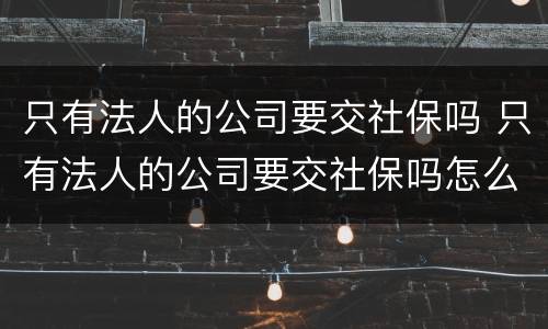 只有法人的公司要交社保吗 只有法人的公司要交社保吗怎么交