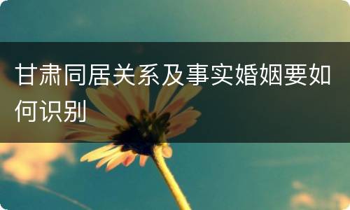 甘肃同居关系及事实婚姻要如何识别