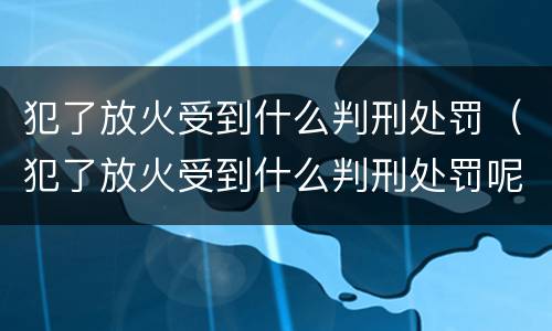 犯了放火受到什么判刑处罚（犯了放火受到什么判刑处罚呢）