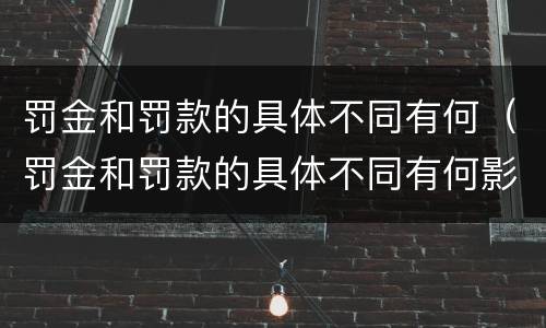 罚金和罚款的具体不同有何（罚金和罚款的具体不同有何影响）