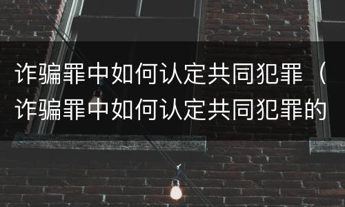 诈骗罪中如何认定共同犯罪（诈骗罪中如何认定共同犯罪的标准）