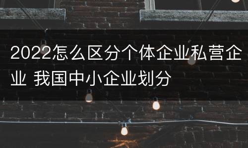 2022怎么区分个体企业私营企业 我国中小企业划分