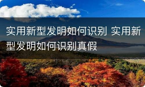 实用新型发明如何识别 实用新型发明如何识别真假