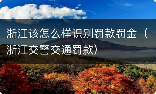 浙江该怎么样识别罚款罚金（浙江交警交通罚款）