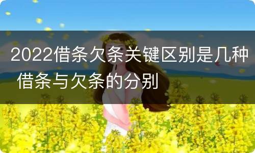 2022借条欠条关键区别是几种 借条与欠条的分别