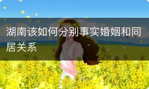 湖南该如何分别事实婚姻和同居关系
