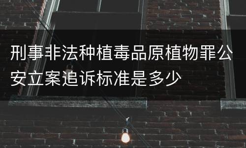 刑事非法种植毒品原植物罪公安立案追诉标准是多少
