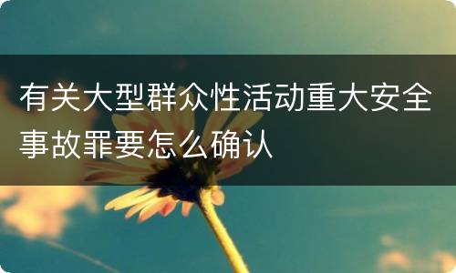有关大型群众性活动重大安全事故罪要怎么确认