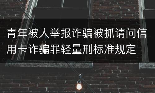 青年被人举报诈骗被抓请问信用卡诈骗罪轻量刑标准规定