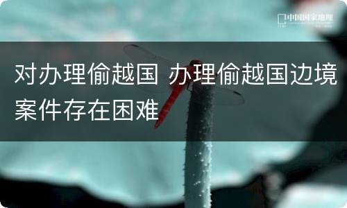 对办理偷越国 办理偷越国边境案件存在困难