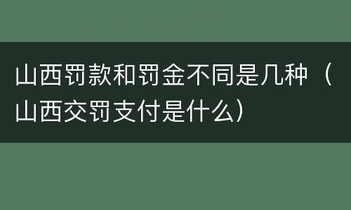山西罚款和罚金不同是几种（山西交罚支付是什么）
