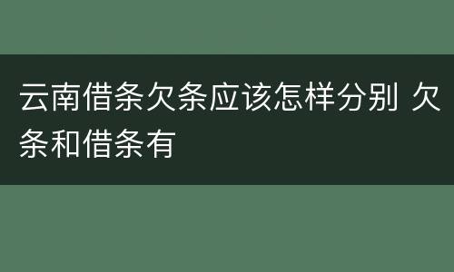 云南借条欠条应该怎样分别 欠条和借条有